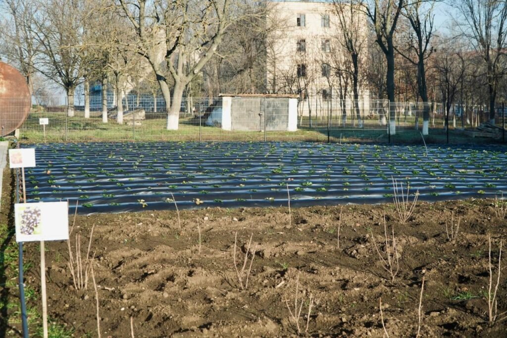 Sursa foto: Delegația UE în Republica Moldova